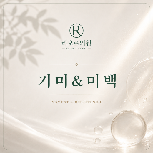 기미색소 프로그램 : 프리미엄
